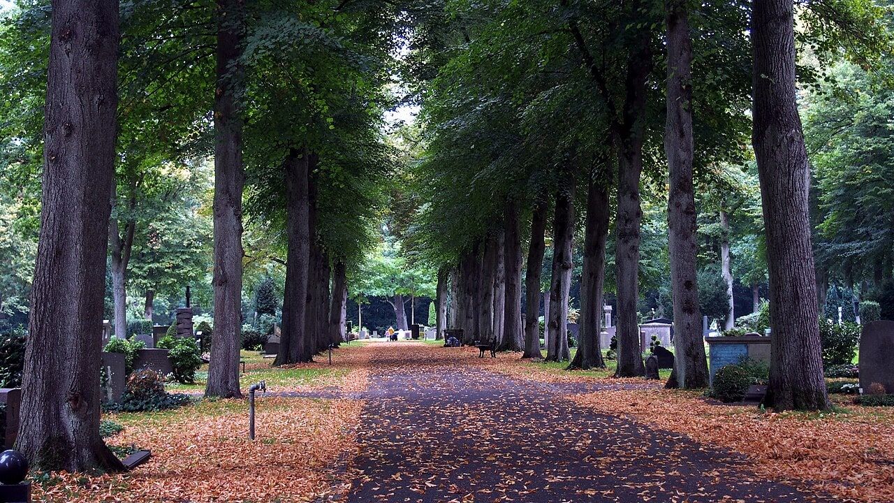 Allee im Riensberger Friedhof auf Friedhof Riensberg