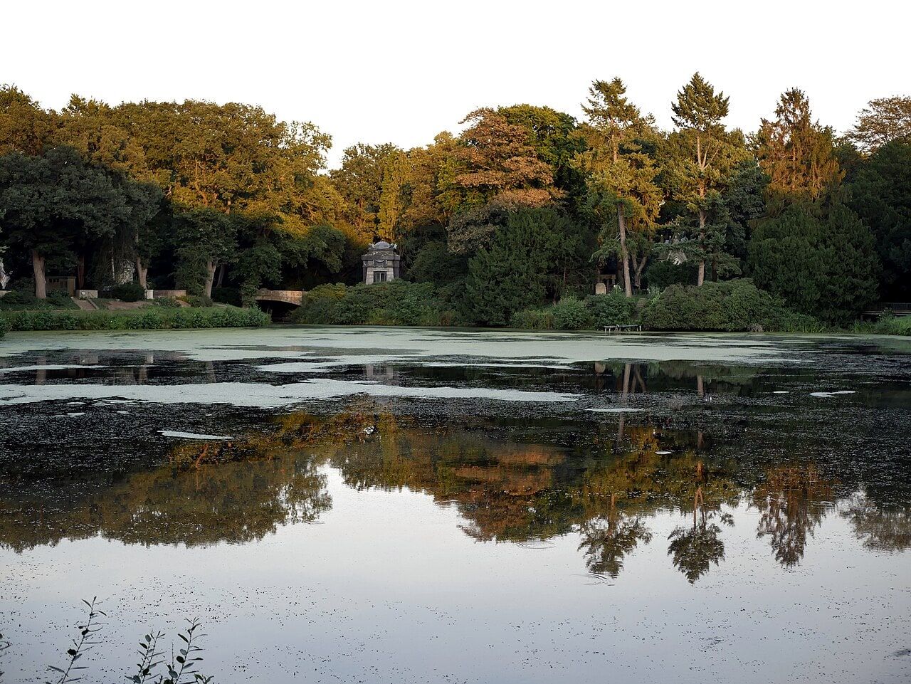 See im Parkfriedhof auf Friedhof Riensberg